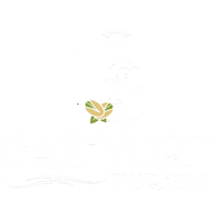 Gaziyurtturizm